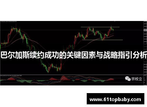 巴尔加斯续约成功的关键因素与战略指引分析